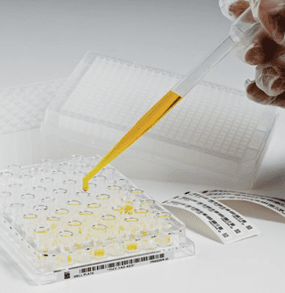 Quality Lab Name Plate LabLabels | Laboratory Labelling Solutions